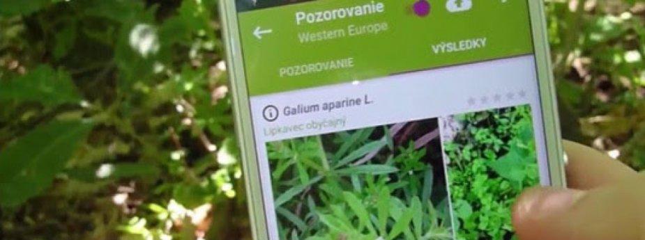 plantnet