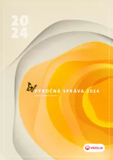 nadácia VS