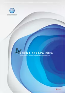 StVPS_VS 2024