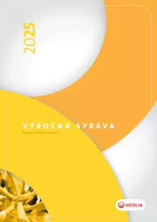 výročná správa NVS