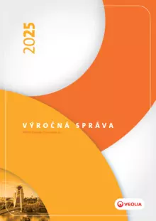 VS VESR 2025